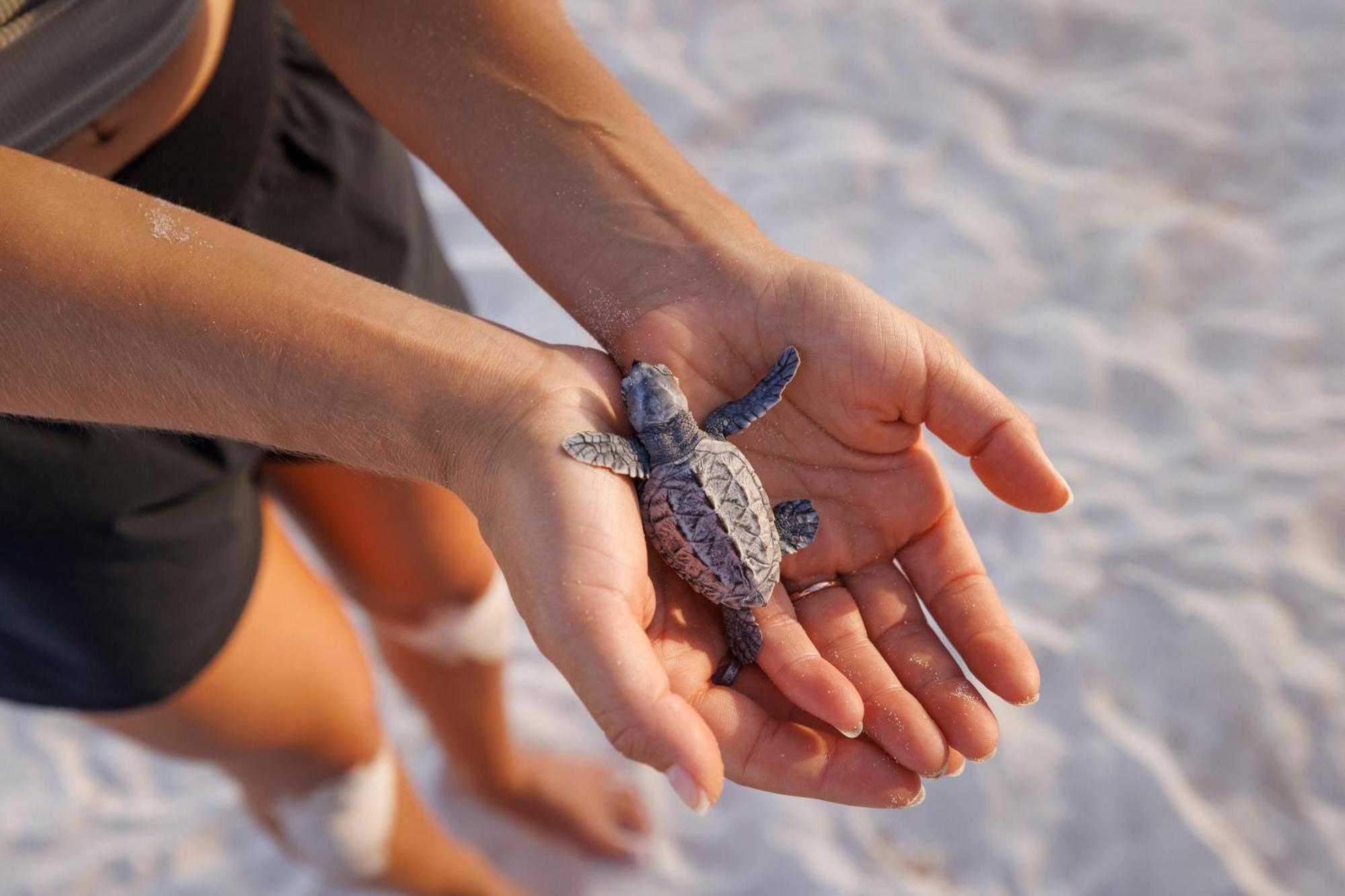 Sandals Barbados All Inclusive - Couples Only (Adults Only) Christ Church Dış mekan fotoğraf